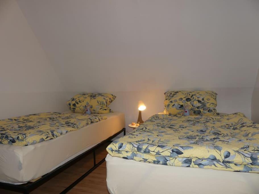 Fewo Gluecksmoment Idar-Oberstein Εξωτερικό φωτογραφία